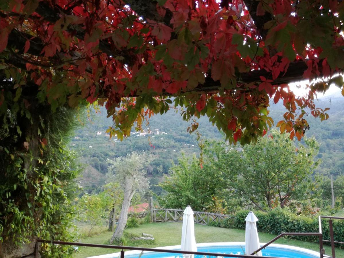 Casa Do Moleiro Guest House ซินเฟยส์ ภายนอก รูปภาพ
