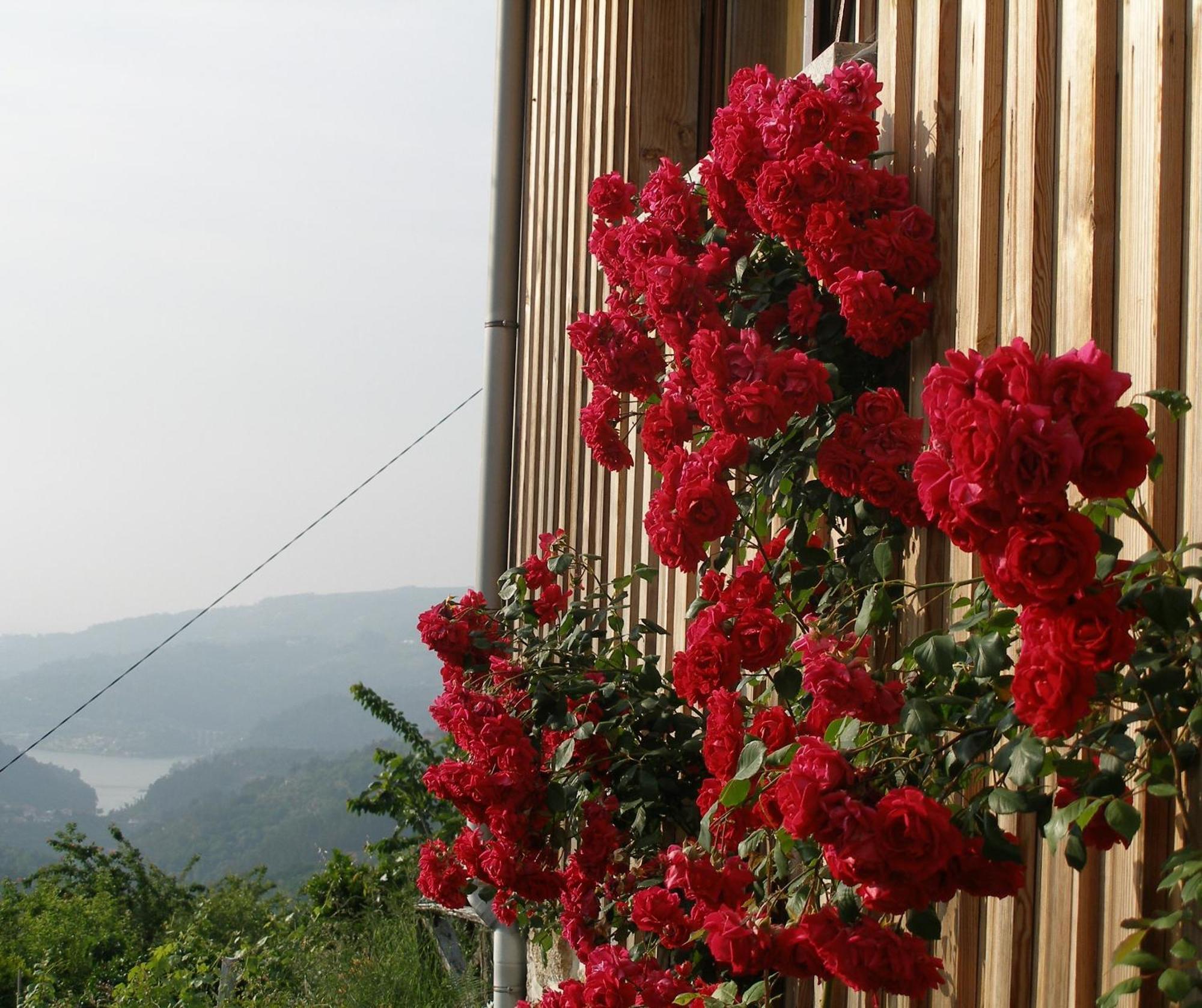Casa Do Moleiro Guest House ซินเฟยส์ ภายนอก รูปภาพ